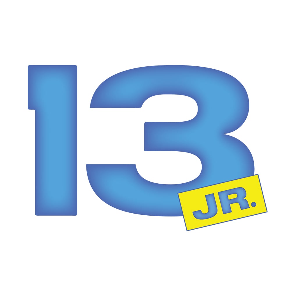 Blue number 13 with a smal JR. in a yellow box in the lower right hand corner.
